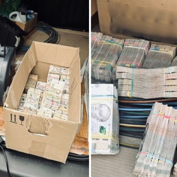 Грошові скриньки та мільйони у криптоактивах: в Україні викрито велику схему відмивання грошей в агросекторі