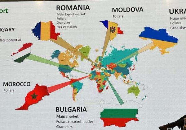 Фермери Молдови та Румунії можуть вдатися до протестів через транзит українського зерна — КУРКУЛЬ