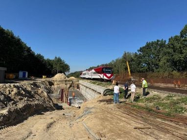 Митниця готується до впровадження нової системи: які зміни очікуються
