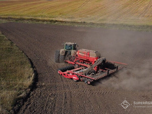 Вся тверда озима пшениця кластера Миколаєва від НІБУЛОН — SuperAgronom.com