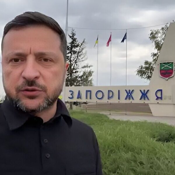 Позиції будуть зміцнені”: Зеленський направляє на Донеччину оновлені підрозділи Прокопенка та Білецького. Відео