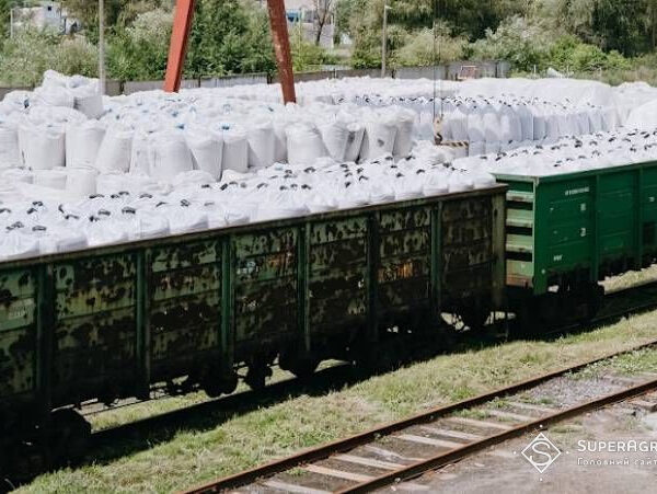 Добрива в Україні напередодні посівної: чи варто аграріям переносити закупівлі — SuperAgronom.com