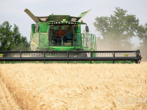 Витрати на збір врожаю істотно підвищилися, а дефіцит місць для його зберігання сягне 11 мільйонів тонн — SuperAgronom.com