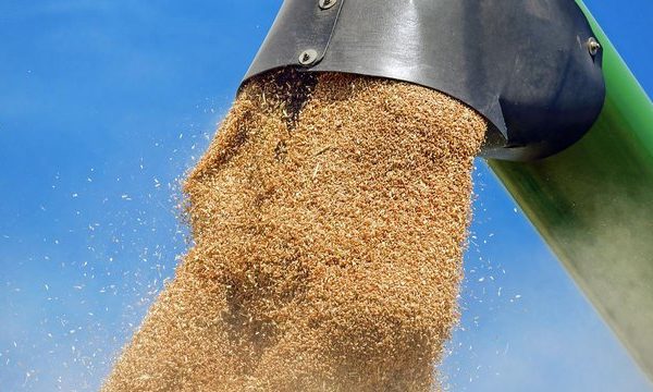 Землероби зібрали близько 17,6 мільйона тонн зернових та бобових культур нового врожаю з 34% полів.