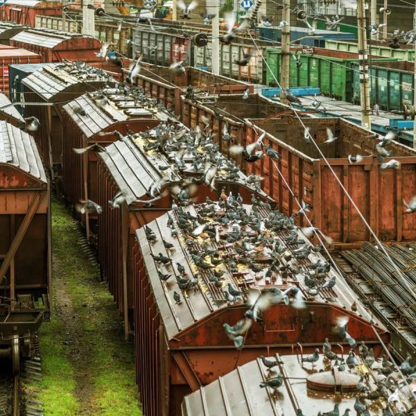 Молдова скоротила вдвічі вартість перевезення українських вантажів залізницею, повідомляє Міністерство фінансів