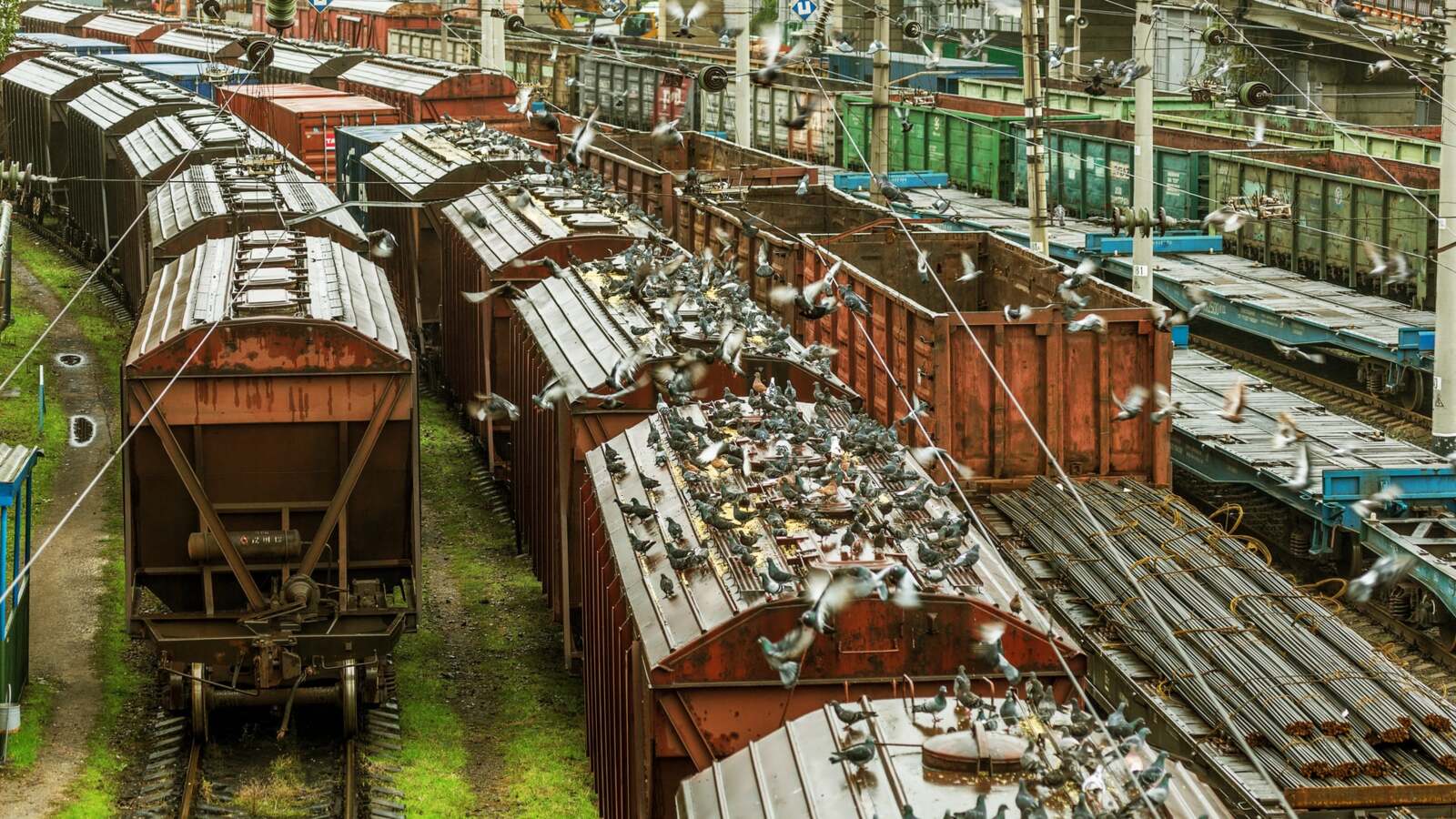 Україна та Молдова домовилися про 50% зниження тарифу на транзитні залізничні перевезення українських вантажів.