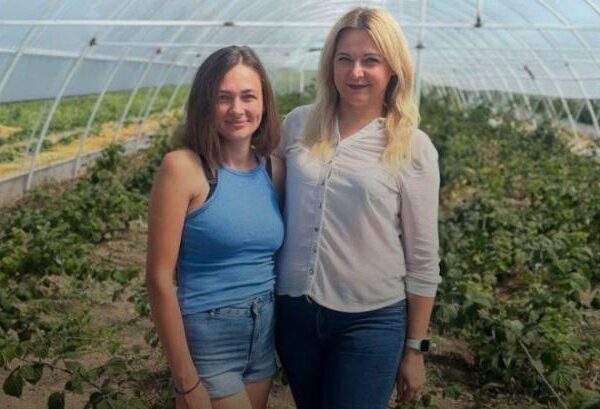 Фермерка на Вінниччині використала державну субсидію для тепличного вирощування малини — КУРКУЛЬ