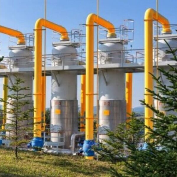 Контрольований вивоз газу має залишатися під керуванням уряду, – Рябцев