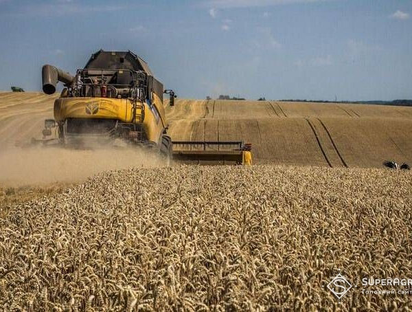 Ріпак і ячмінь на Львівщині показали кращу врожайність, ніж минулого року, тоді як пшениця мала гірші показники — SuperAgronom.com