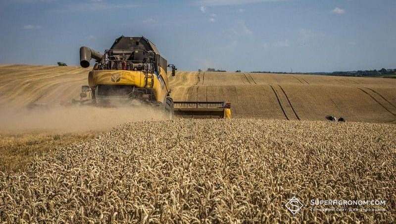 Середня врожайність пшениці на Львівщині 6,06 т/га — на 1,28 т/га нижча минулорічної