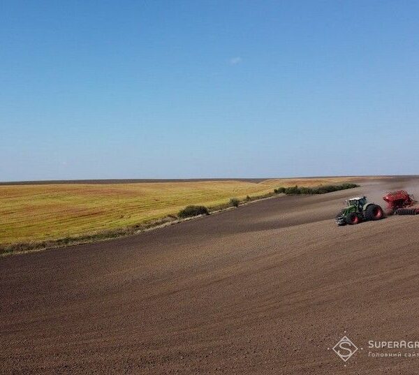 SuperAgronom.com: посівні площі в Україні можуть зменшитися на 20% через труднощі з експортом зерна