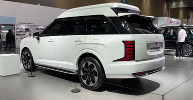 Hyundai Palisade отримав версію з високим дахом (фото)