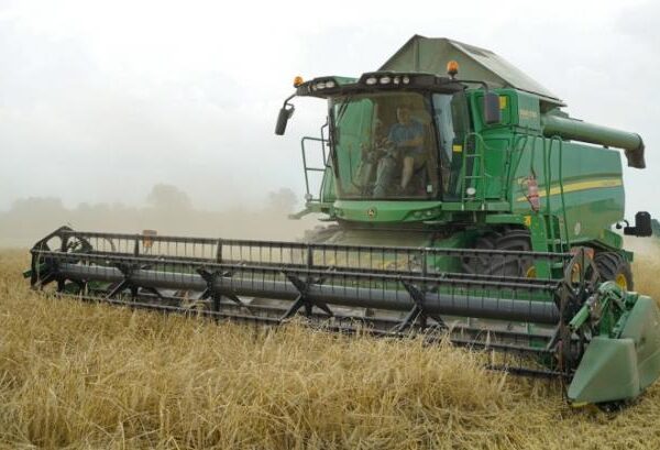 Українські аграрії зібрали 4,4 мільйона тонн ячменю: жнива завершено у трьох областях — КУРКУЛЬ