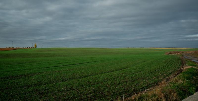 Земельні ділянки в Україні