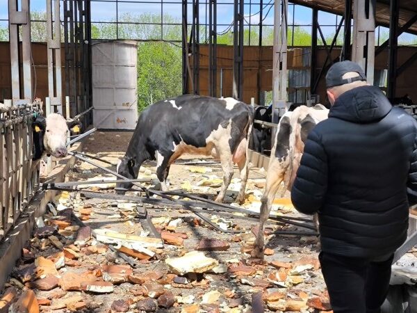 Уряд розглядає підвищення ПДВ для компенсації бізнесу воєнних втрат