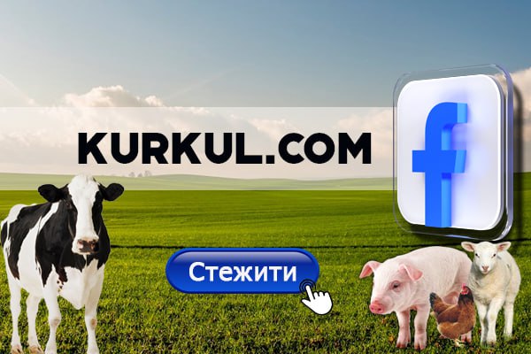 Фермерське господарство