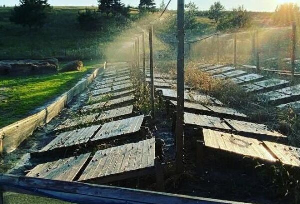 Наслідки атаки: равликова ферма Jiffy Farm зазнала руйнувань