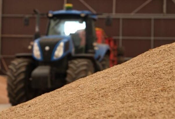 Зерно львівського фермера чекало на продаж два роки у “рукавах”