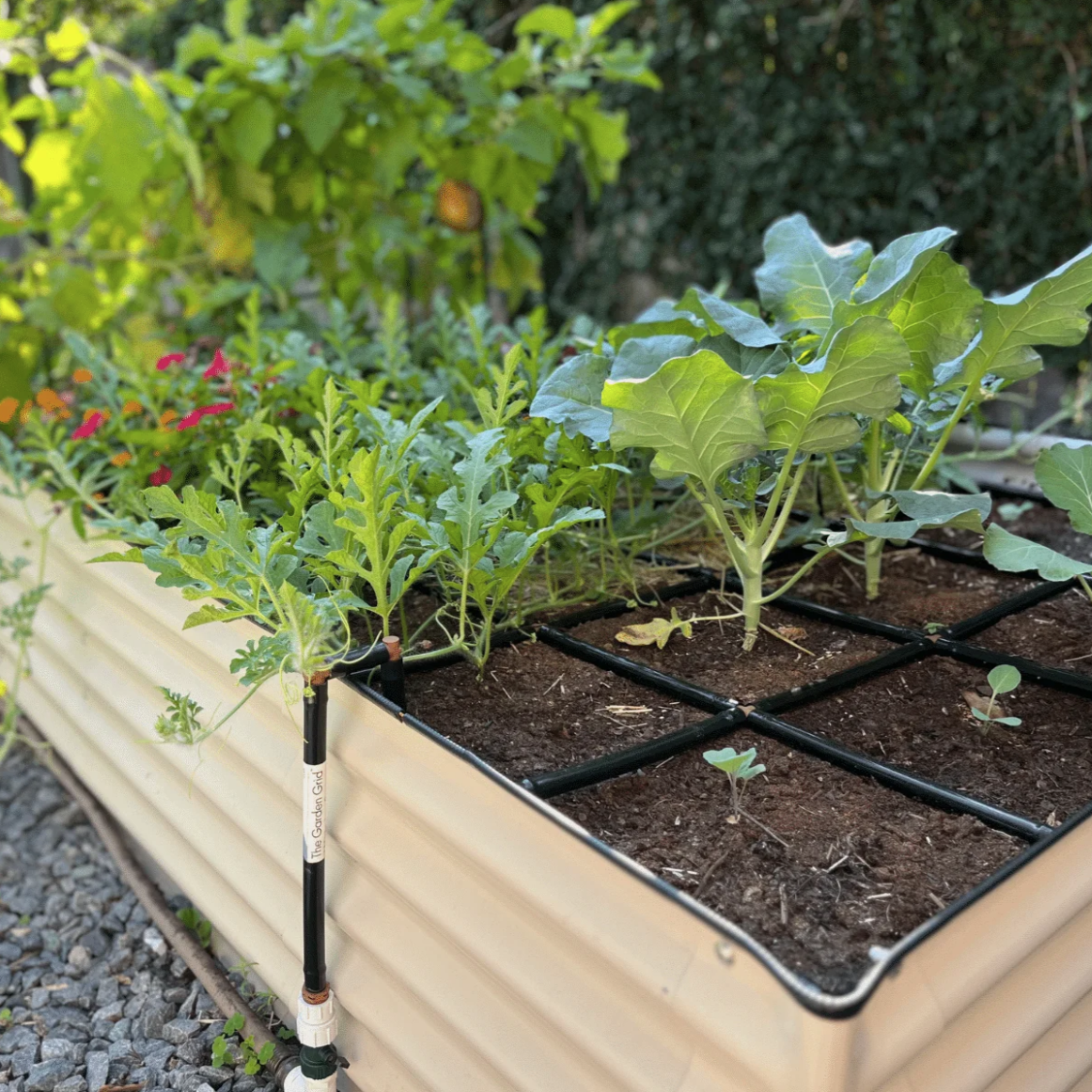 Garden in Minutes raised bed