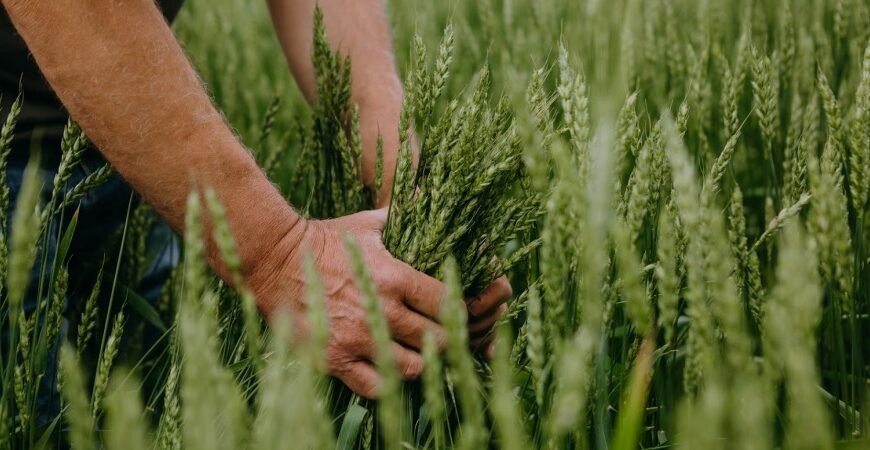 Розширення держпідтримки аграріїв заплановано на 2027 рік